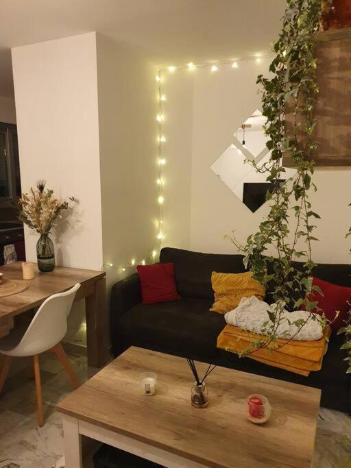 דירות Beau 2 Pieces,Terrasse, Parking Menton Centre מראה חיצוני תמונה